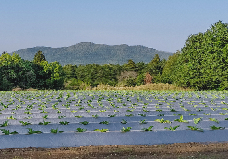 規模拡大をしたい方